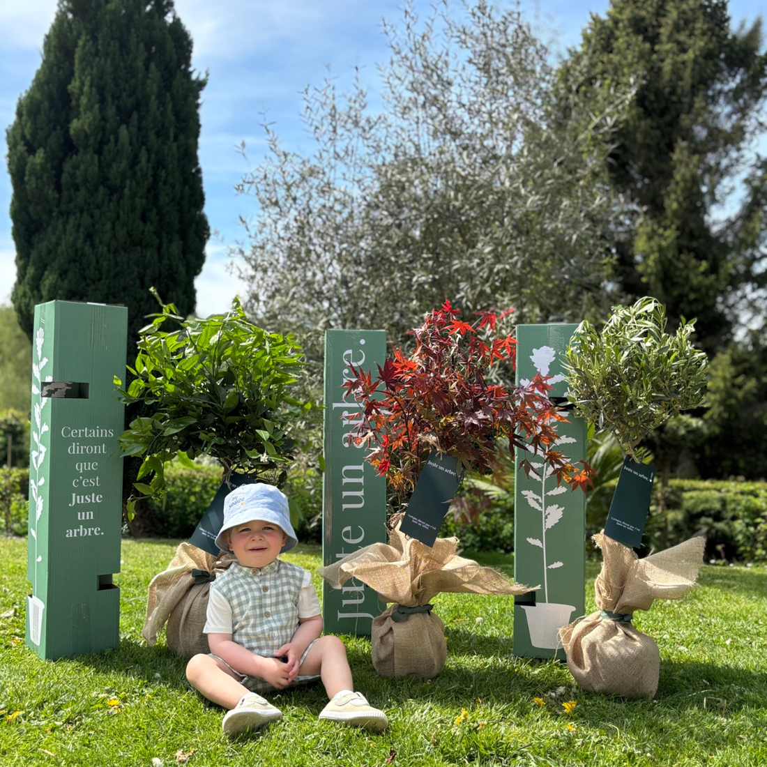 cadeau arbre symbolique nature