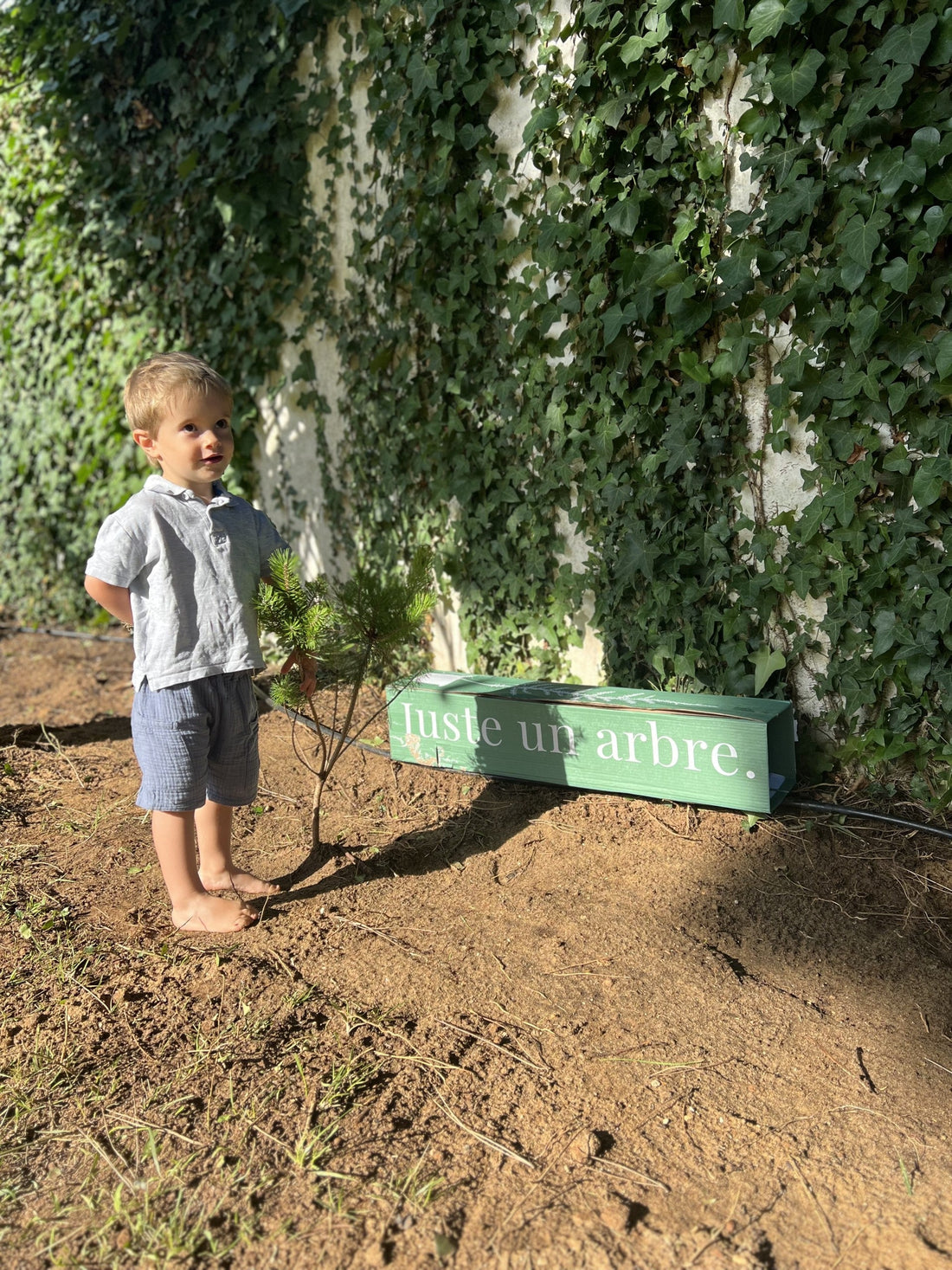 arbre personnalisé offert à un bébé comme cadeau de naissance symbolique