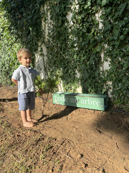 arbre personnalisé offert à un bébé comme cadeau de naissance symbolique