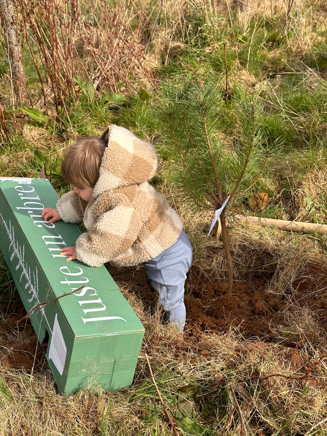 Offrir un arbre : le nouveau rituel des cadeaux de naissance ?