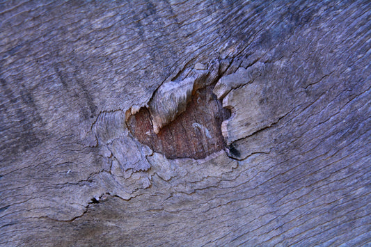 arbre-de-vie-idées-cadeaux