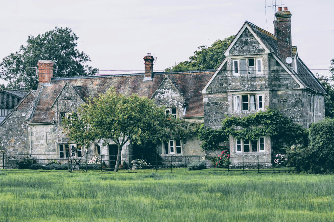 Petite maison avec jardin verdoyant et un arbre majestueux au centre, symbole de stabilité, de croissance et de renouveau – Idée de cadeau durable pour une pendaison de crémaillère.