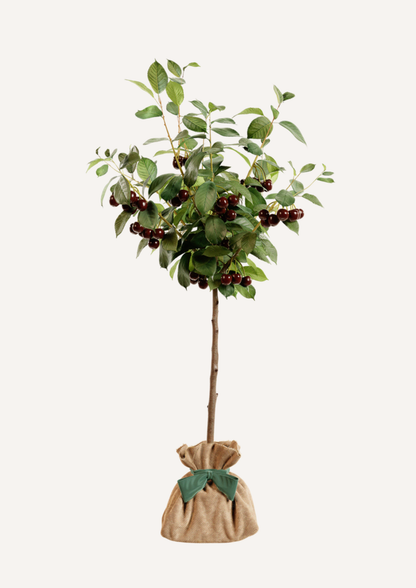 Cerisier en pot – idée cadeau symbolique pour un présent à la fois beau et vivant